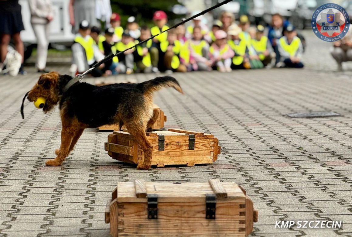 Wiernie służyli przez 10 lat. Kałam, Lejmur i Karzeł odeszli na zasłużoną emeryturę