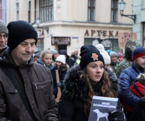 Oni mówią głosem zwierząt! Tak wygladał marsz w obronie zwierząt z Toruńskiego Schroniska [GALERIA, AUDIO]