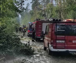 Koszmarny widok po nawałnicy w Osiu. Gigantyczne straty 