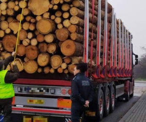 Kontrola ciężarówek przewożących drewno