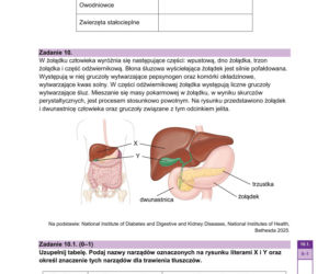 Próbna matura 2026 z biologii: Arkusze CKE, pytania i sugerowane odpowiedzi [14.01.2026]