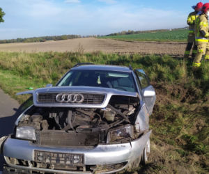 Wypadek na drodze wojewódzkiej pod Lesznem. Jedna osoba trafiła do szpitala