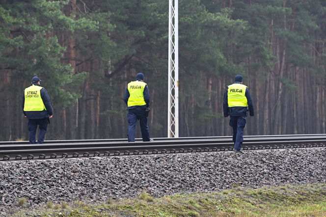 PILNE! Tusk ujawnia: dwóch Ukraińców współpracujących z Rosją stało za dywersją na kolei. „Celem była katastrofa”