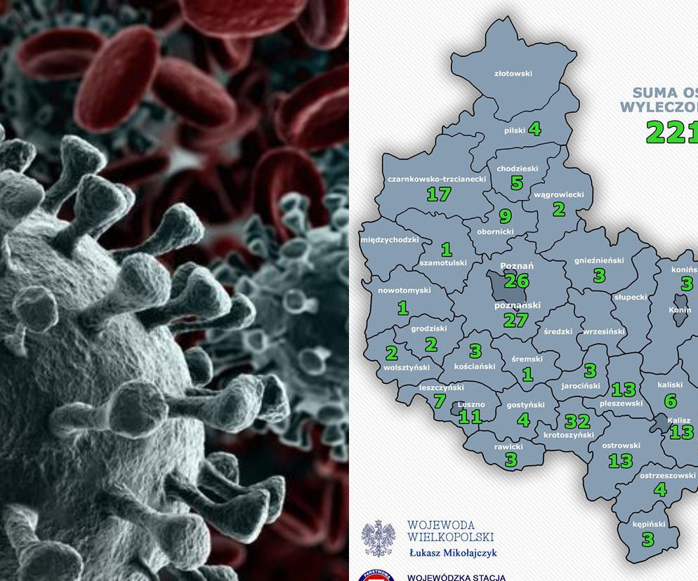 Koronawirus w Wielkopolsce. Zobacz, ile osób w regionie WYZDROWIAŁO