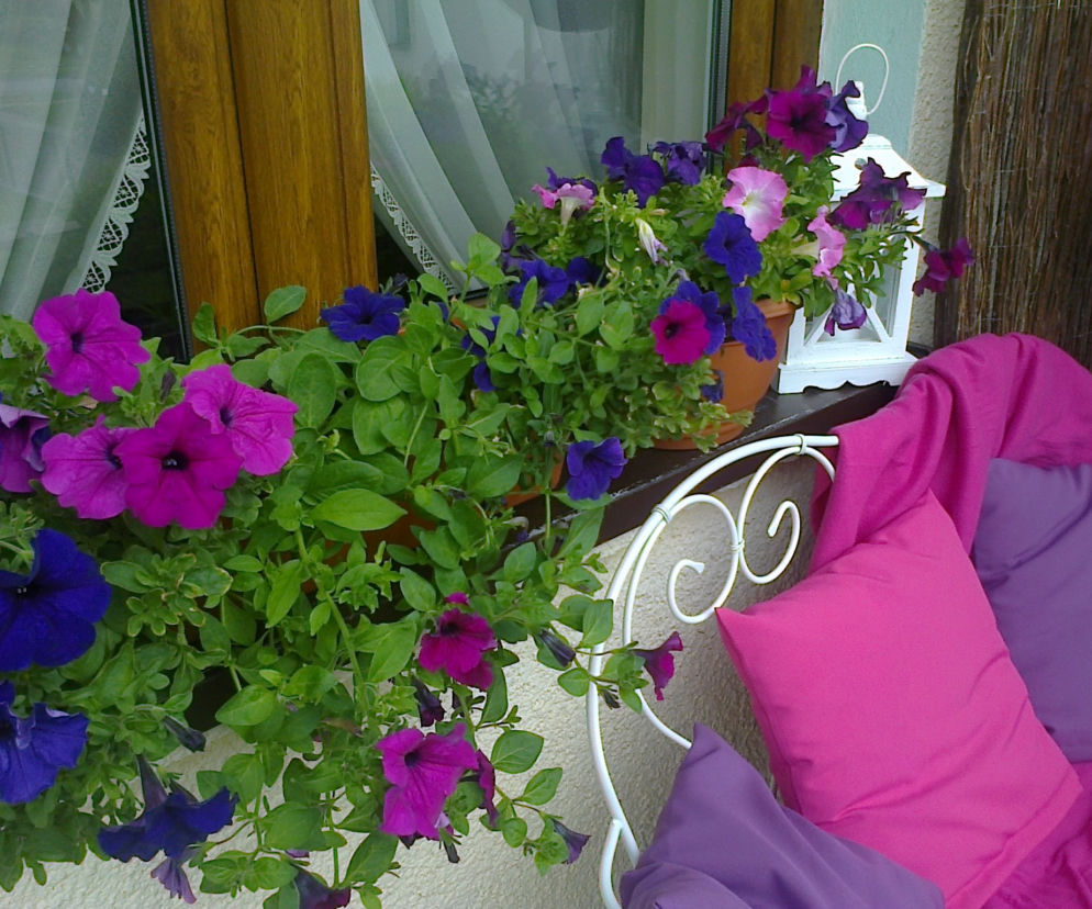 Balkon w kolorze fuksji zdjecie nr 1