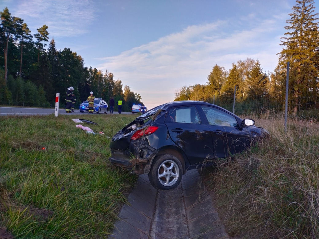 Poważny wypadek na S22. Kobieta i dziecko w szpitalu [ZDJĘCIA]