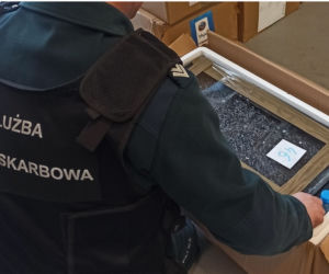 Próbował przemycić węgorze za 1,5 miliona złotych