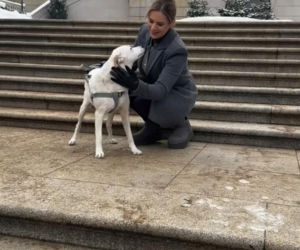 Pieski w Pałacu Prezydenckim