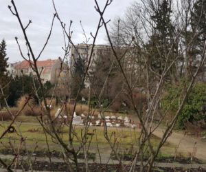 Do Bydgoszczy zbliża się wiosna. Te znaki nie zostawiają wątpliwości