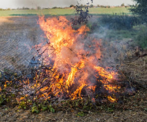 Palisz gałęzie na działce? W 2026 możesz zapłacić nawet 5000 zł