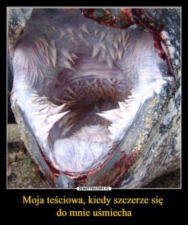 Tych memów o teściowych nie pokażesz mamie! Internauci nie mają litości