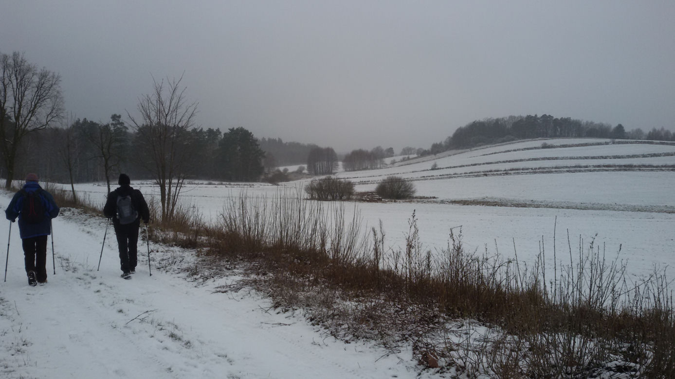4. Grębocice