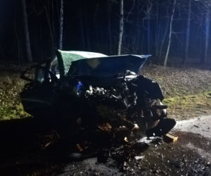 Dzik narobił wielkich szkód! Ucierpieli ludzie i samochody