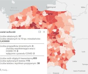 Koronawirus w województwie śląskim. Tak wygląda sytuacja w poszczególnych powiatach [RAPORT, 19 MARCA]