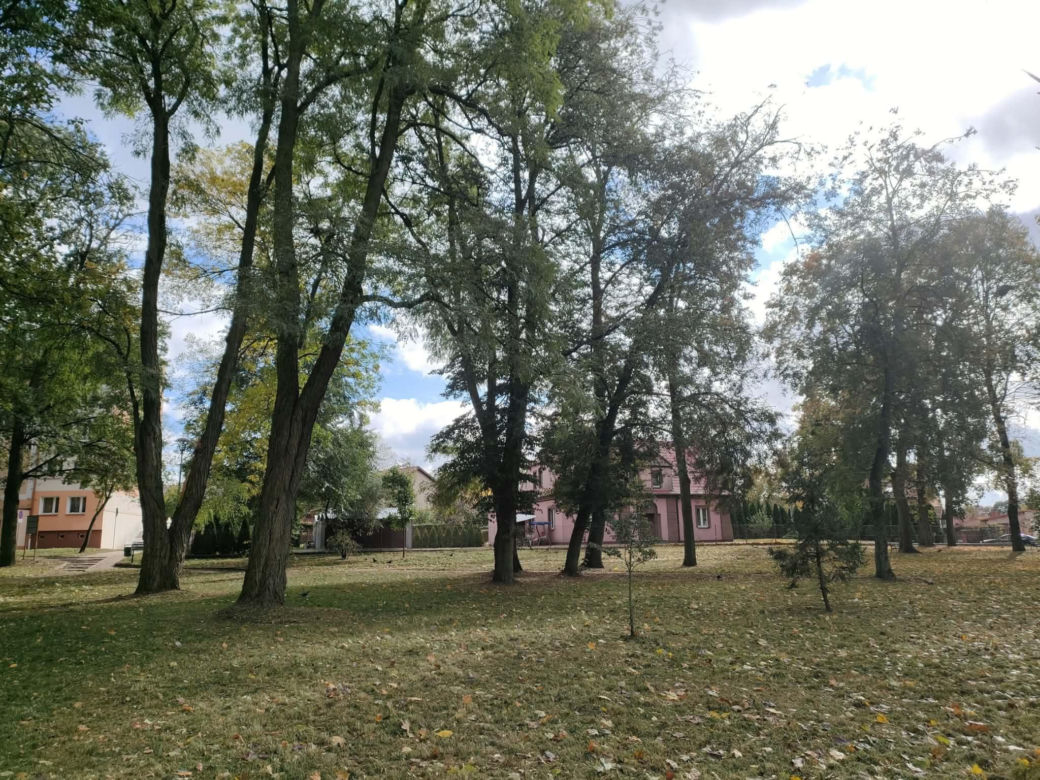 Blisko 12 milionów złotych na tereny zielone w Łomży. Zmiany zajdą na terenie Parków Ludowego, Jakuba Wagi i przy ulicy Katyńskiej