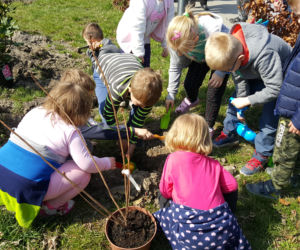 Nowe drzewa i krzewy w Parku Polisensorycznym