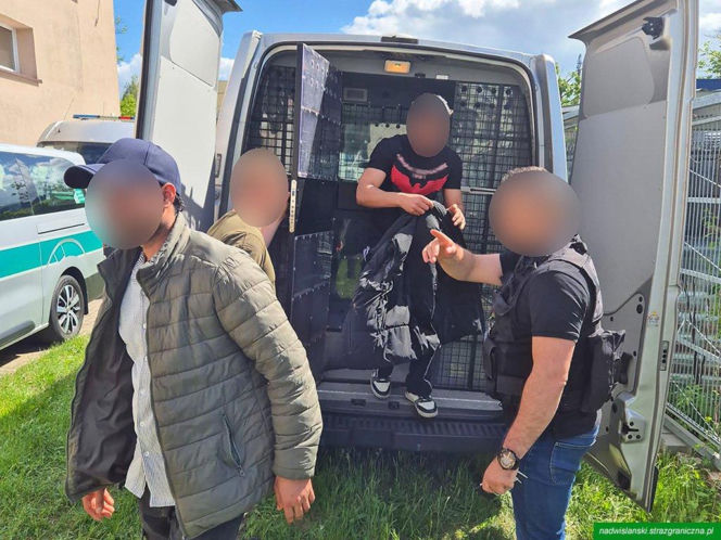 Nielegalnie zatrudnieni w Sokołowie Podlaskim