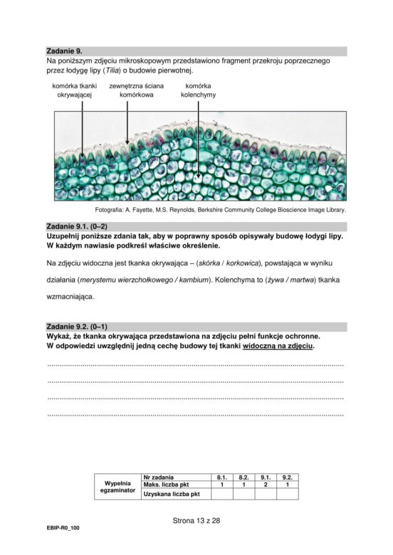 Matura 2024: biologia rozszerzona ARKUSZ FORMUŁA 2015