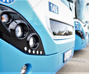 Ełk: Nowe autobusy hybrydowe wyjechały na ulice [ZDJĘCIA]