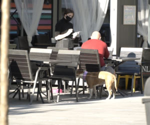 Katowice: Lokale na Mariackiej na pierwszy weekend po otwarciu