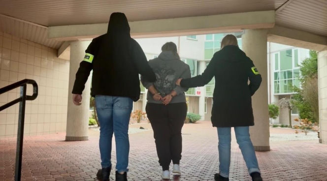 Kilkadziesiąt kilogramów amfetaminy na podwórku. Narkotyki wozili taczką!
