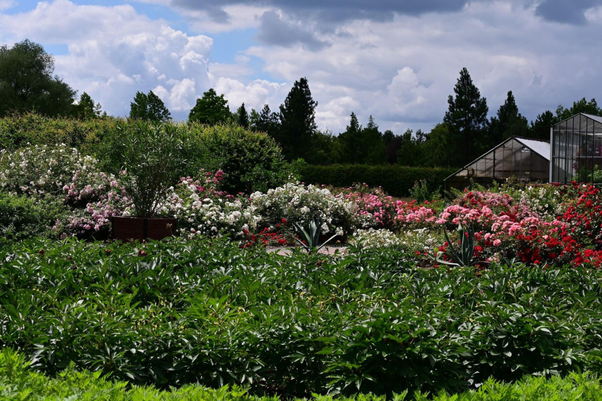 Ogród Botaniczny PAN w Powsinie