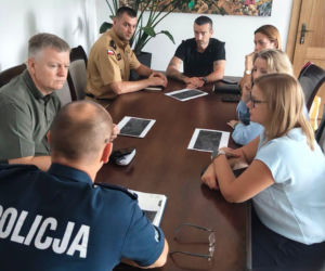 Alarm na Dolnym Śląsku. Nowe ustalenia po poszukiwaniach tajemniczego drapieżnika