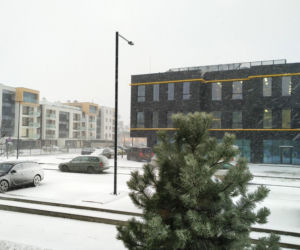 Śnieżyca we Wrocławiu i okolicach. Fatalne warunki na drogach 