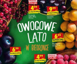 promocje w Biedronce