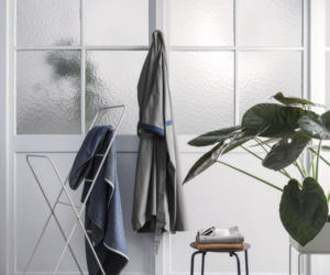 Monstera we wnętrzach