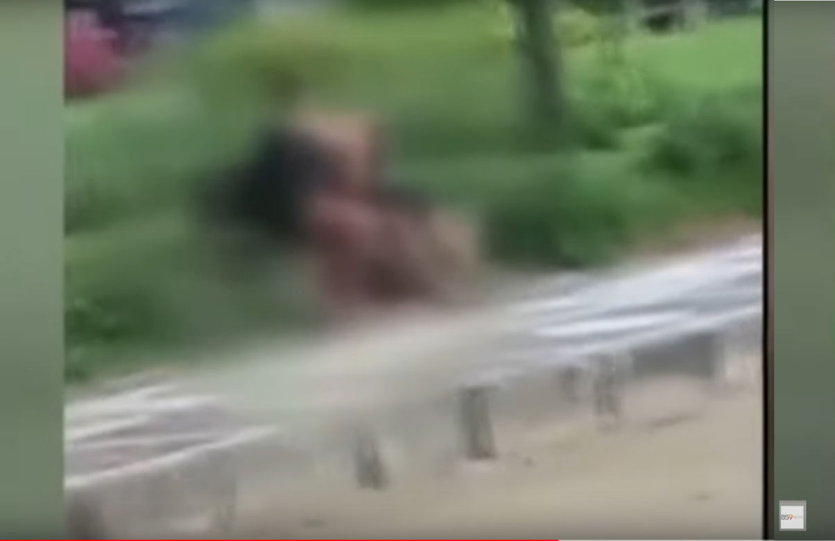 Uprawiali seks na ulicy w biały dzień! Film trafił do sieci
