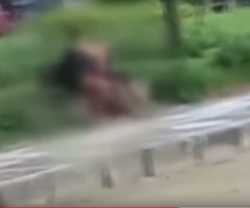 Uprawiali seks na ulicy w biały dzień! Film trafił do sieci