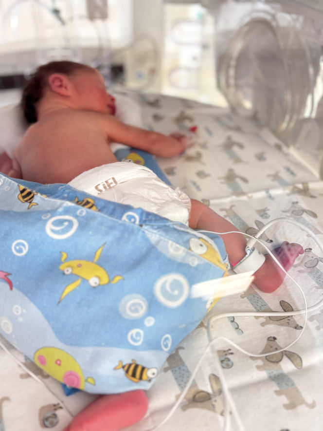 W WSS Olsztyn przyszły na świat trojaczki