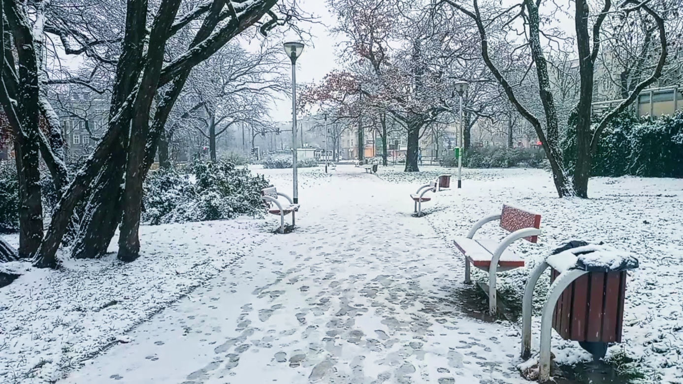Pierwszy śnieg w Szczecinie