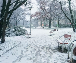 Pierwszy śnieg w Szczecinie