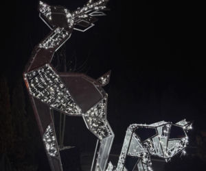 Gwiazdy wystroiły wille na święta! Przetakiewicz, Kurzopki i Rozenek wydali grube tysiące!
