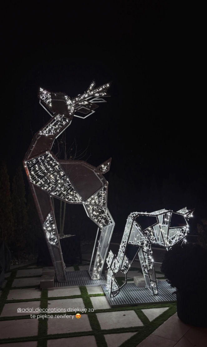 Gwiazdy wystroiły wille na święta! Przetakiewicz, Kurzopki i Rozenek wydali grube tysiące!