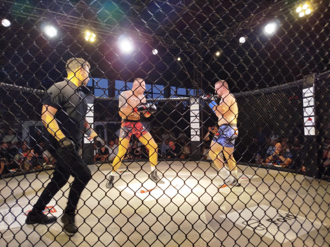 Fotorelacja z Gali Sportów Walki Taurus Fight Arena 2026 w Siedlcach