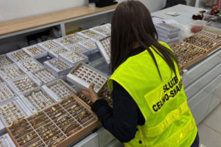 Akcja funkcjonariuszy w Wólce Kosowskiej