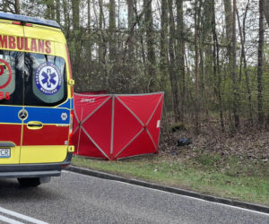 Tragedia na DK 42 Starachowice - Rudnik.  W wypadku zginął motocyklista