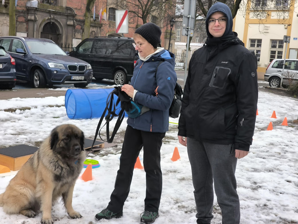 Spacer z pieskami w Lesznie