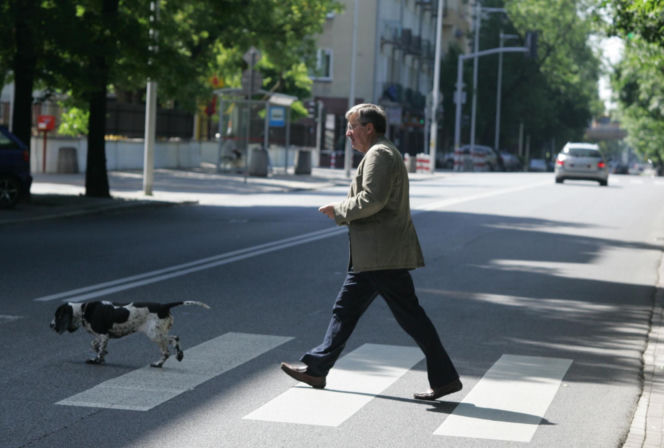 Pieski w Pałacu Prezydenckim