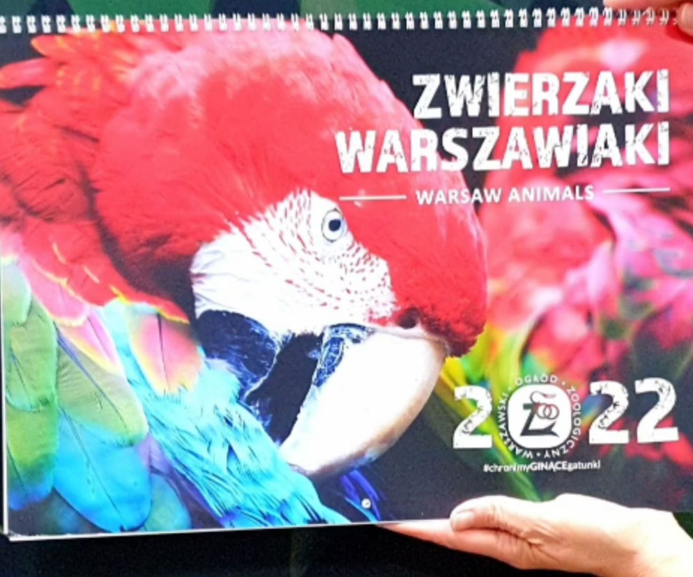 Zwierzaki Warszawiaki - kalendarz 2022. Gdzie kupić? Jak wygląda? 
