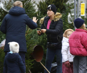 Premier Donald Tusk ma gest? Kupił dwie choinki i odmówił reszty