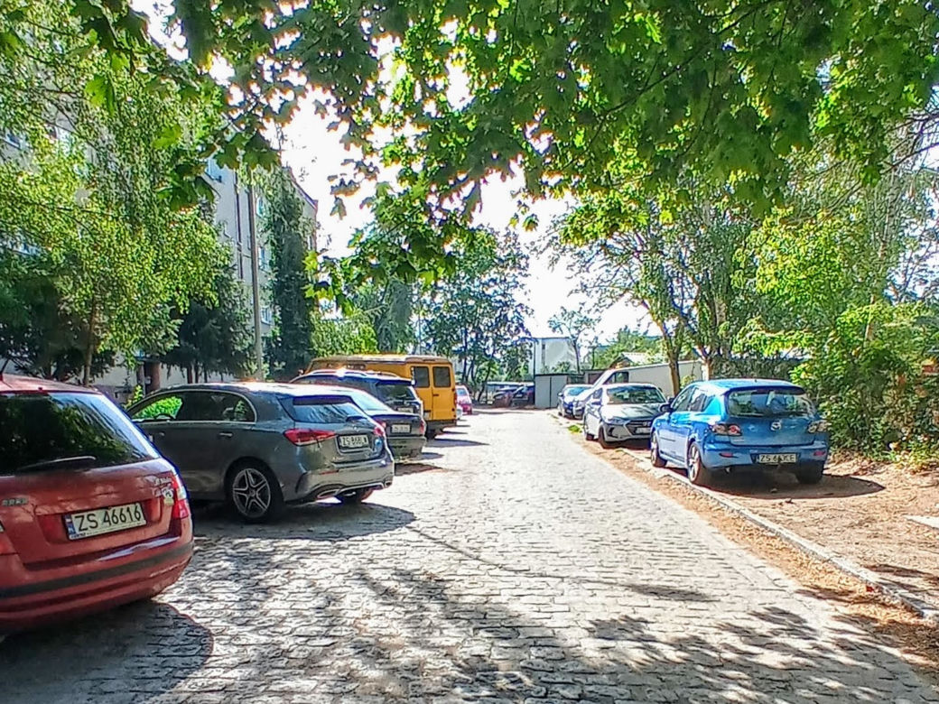 Wycinka drzew na stacji Szczecin Pomorzany