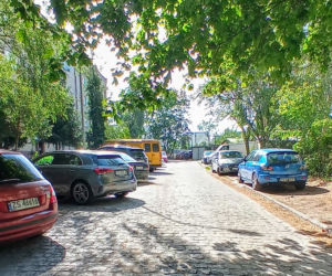 Wycinka drzew na stacji Szczecin Pomorzany