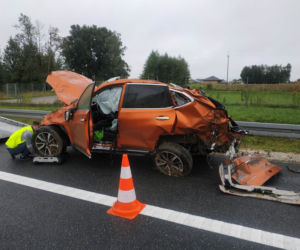 Szukają psa, który zaginął podczas wypadku na A4