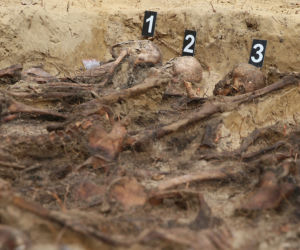 Historyczne znalezisko w warszawskim lesie. Doły śmierci na Białołęce. Wśród ofiar kobieta z długim warkoczem 