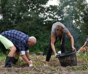 3. odcinek Sanatorium miłości