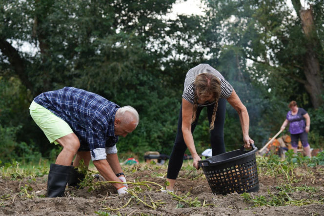 3. odcinek "Sanatorium miłości"
